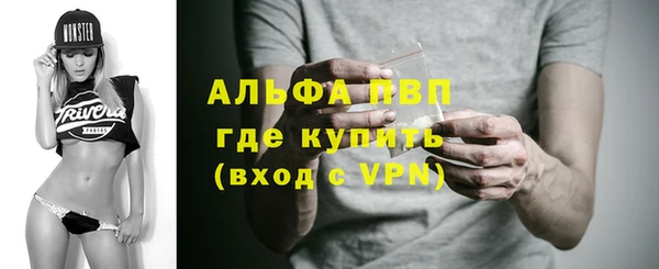 ГАЛЛЮЦИНОГЕННЫЕ ГРИБЫ Сатка